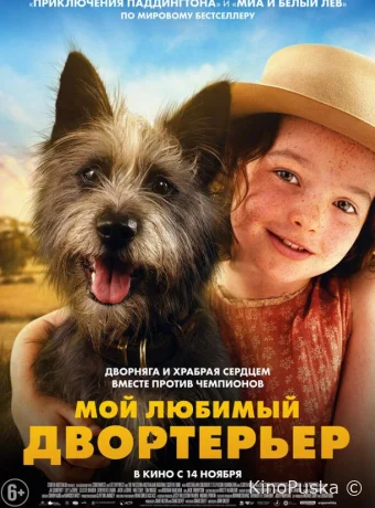 Мой любимый двортерьер